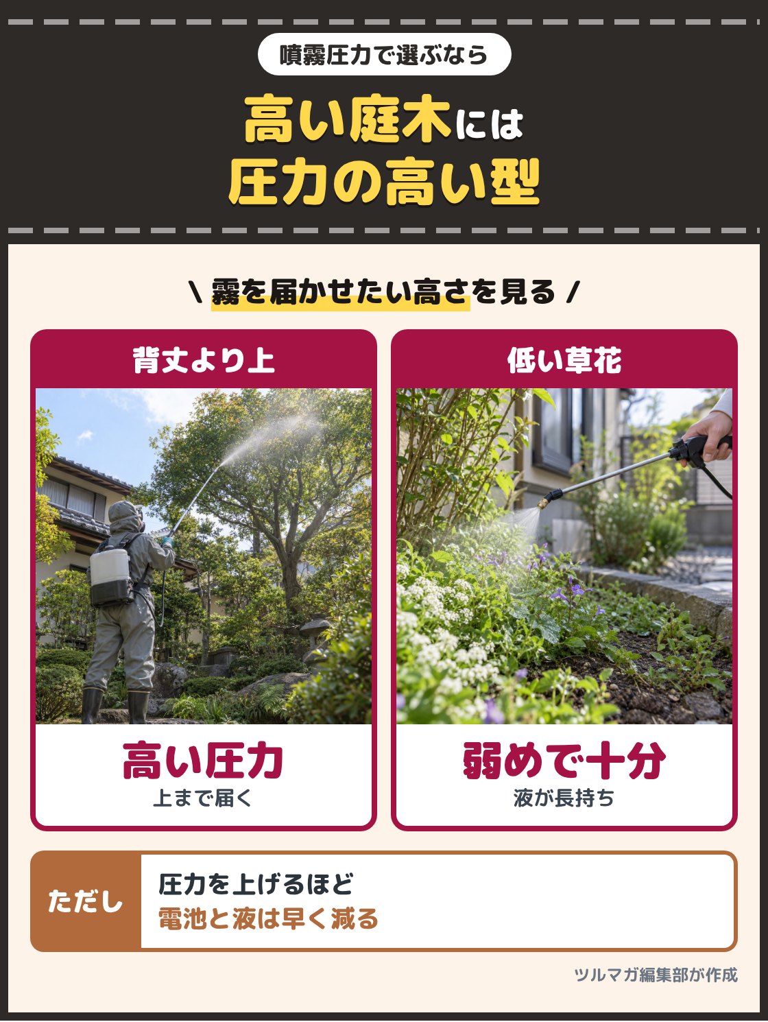 背丈より高い庭木の上の方へ噴霧器の霧を届かせる人の写真と、足元の低い草花に弱めの霧をかける写真。背丈より高い庭木の上の方までまくなら最高圧力の高い型を選ぶ。圧力を変えられる型なら低い草花は圧力を下げてまける。圧力を上げるほど電池と液は早く減る
